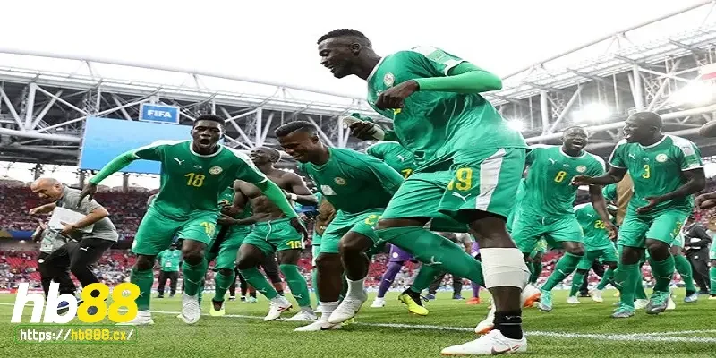 Mục tiêu của đội tuyển Senegal trong tương lai