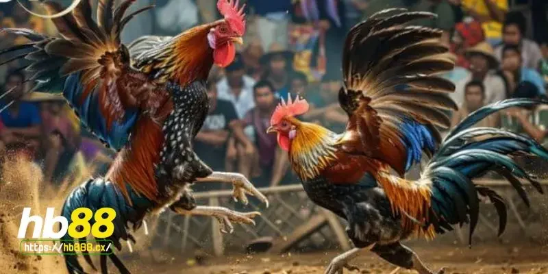 Nguyên nhân gây bệnh hen gà