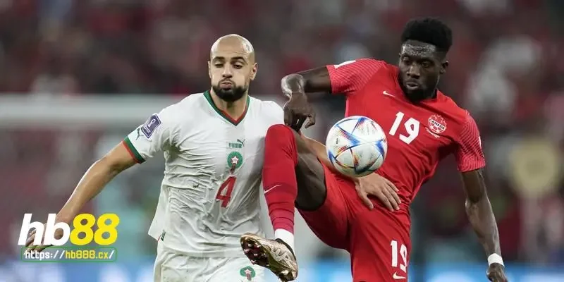 Nhận định Canada vs Morocco - Những yếu tố ảnh hưởng